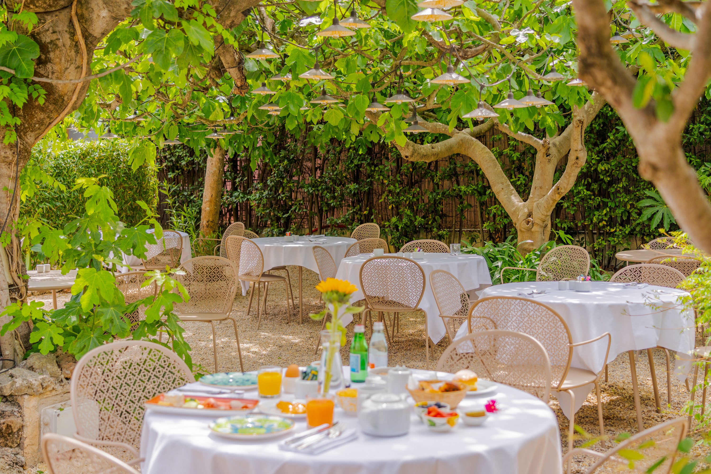 Garden dining area